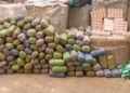 NDLEA seizes drugs worth ₦2.8bn in Jigawa, secures 136 convictions in 2025