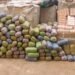 NDLEA seizes drugs worth ₦2.8bn in Jigawa, secures 136 convictions in 2025