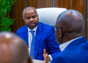 Ex-NMA president warns against media trial in Chimamanda Adichie's son's death