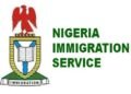How to Track Your Nigerian Passport Status: NIS unveils new ‘produced’ update for faster pickup