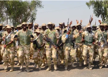 Troops arrest eight suspects, seize fuel in Adamawa operations