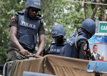 Police arrest kidnapping, armed robbery syndicate in Delta