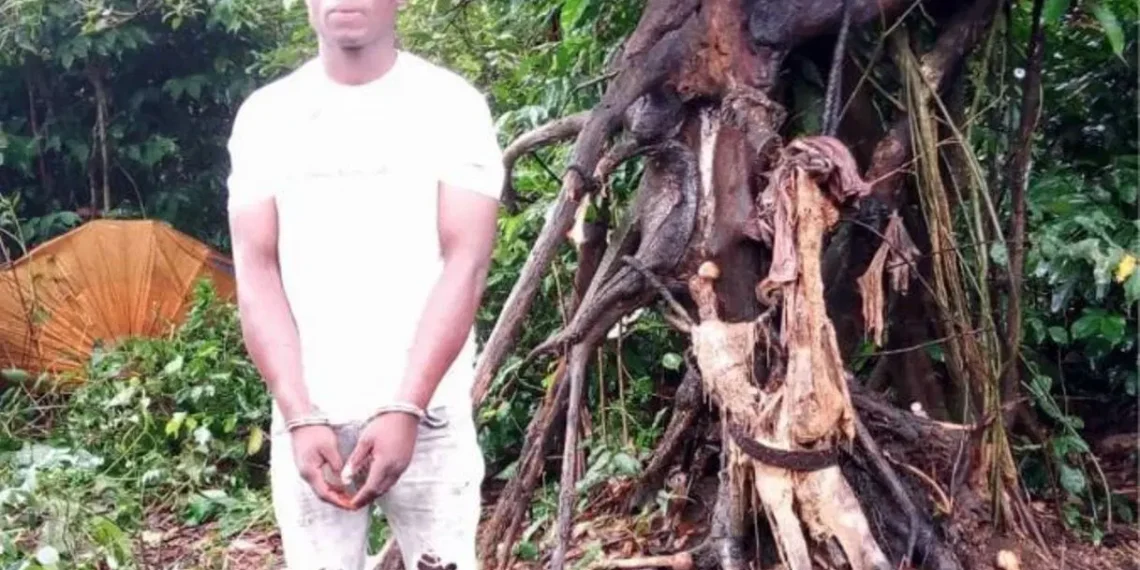 Police arrest kidnap suspect, recover remains of victim in forest in Rivers