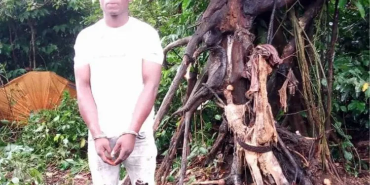 Police arrest kidnap suspect, recover remains of victim in forest in Rivers