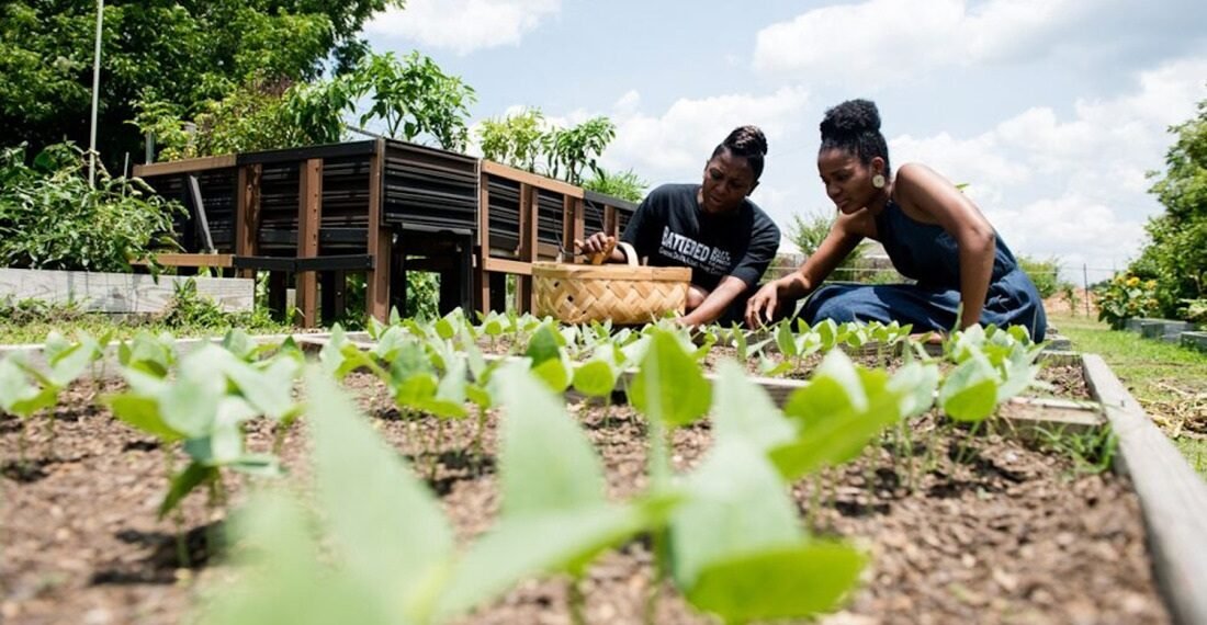 ActionAid empowers 2,913 smallholder women farmers