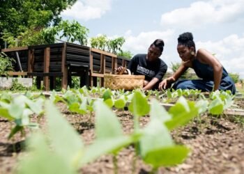 ActionAid empowers 2,913 smallholder women farmers