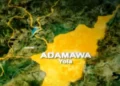 Tragic as 2 sons allegedly strangle father to death in Adamawa
