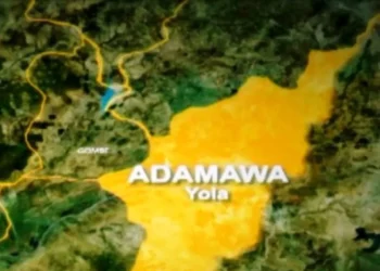 Tragic as 2 sons allegedly strangle father to death in Adamawa