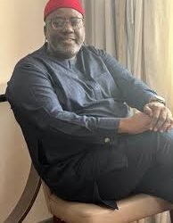 2027: Anyanwu declares for Okigwe Senate, dismisses ADC in Imo