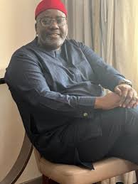 2027: Anyanwu declares for Okigwe Senate, dismisses ADC in Imo