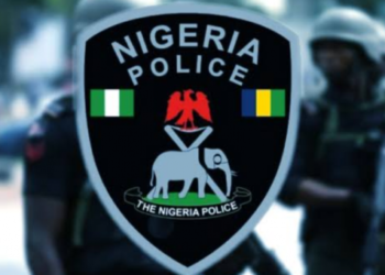Police arrest man over alleged murder of elder brother in Adamawa