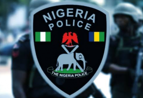 Police arrest man over alleged murder of elder brother in Adamawa