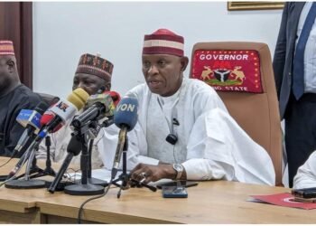 Kano faults Amnesty report, reaffirms commitment to free speech