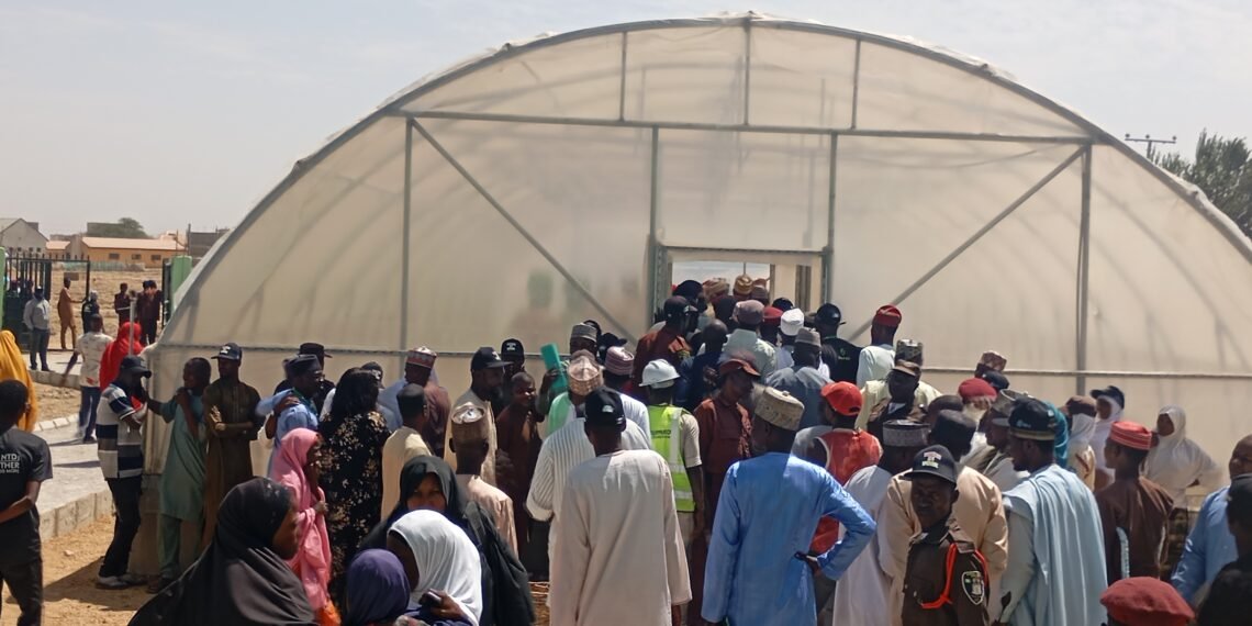 NGO commissions N100m solar-powered vegetable drying hub in Kano