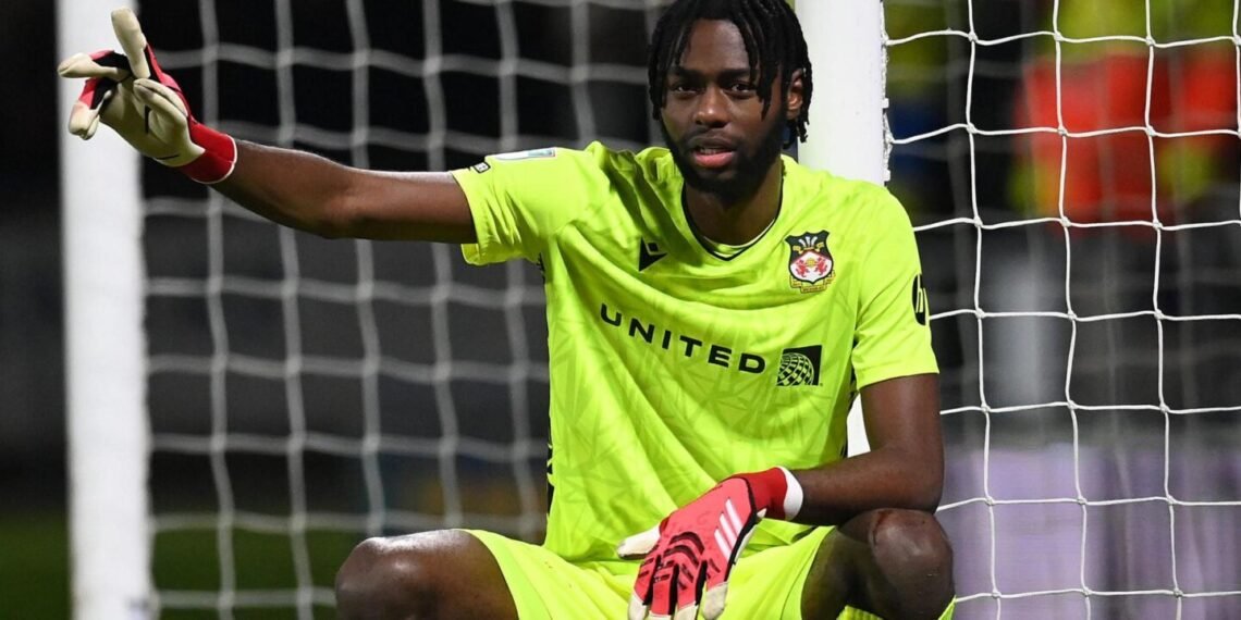 NFF says paperwork for ex -Arsenal goalkeeper’s switch to play for Nigeria incomplete