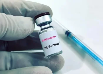 FCTA assures Abuja residents of adequate anti-venom supply in hospitals