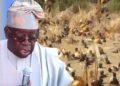 ADC flays Tinubu for attending Argungu Fishing Festival as terrorists run riot
