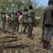 UN rates Nigeria among top nations in recruitment of child soldiers by armed groups