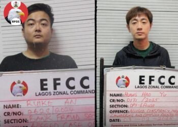 Court jails 2 Chinese 46 years each for N3.4bn, $2.5m cyberterrorism, internet fraud