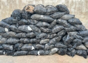 NDLEA intercepts 64 bags of Cannabis loaded on Cement Truck on Zaria–Kano Road