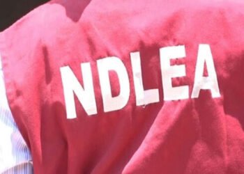 NDLEA arrests 6 suspects as agent dies during raid on drug den in Rivers