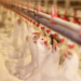 Akwa Ibom to host International Expo on Poultry, Livestock