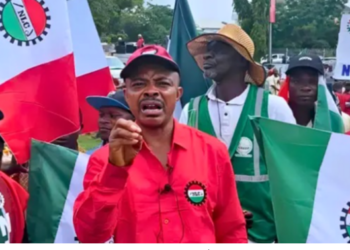 NLC, APGC differ over new FG bailout for GenCos