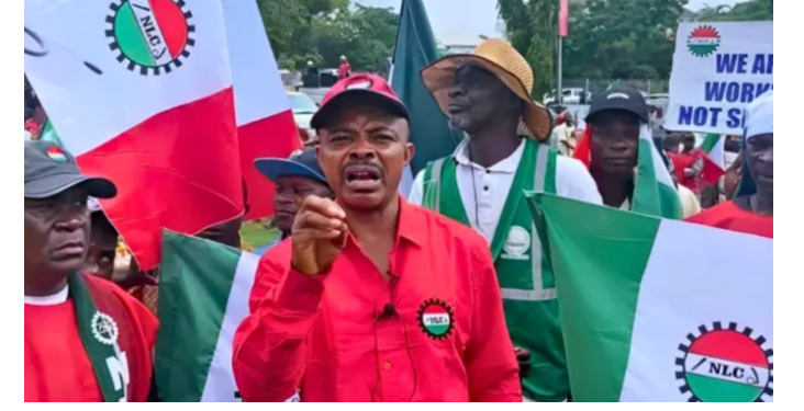 NLC, APGC differ over new FG bailout for GenCos