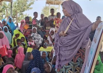 Quiet transformation taking shape in Taraba’s dairy sector