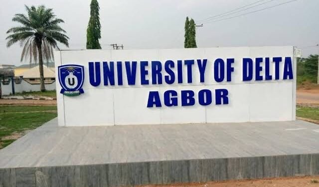UNIDEL graduates 30 first-class students in maiden convocation