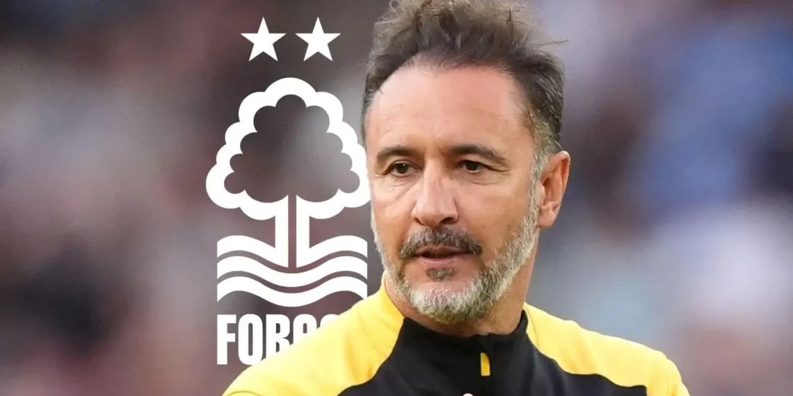 Forest appoints Pereira as new manager on an 18-month contract