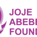 Rising IVF Costs in Nigeria: JOJE Abebe ART Foundation urges government support for affordable fertility treatment