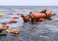 Many Nigerians feared dead as boat capsizes off coast of Libya