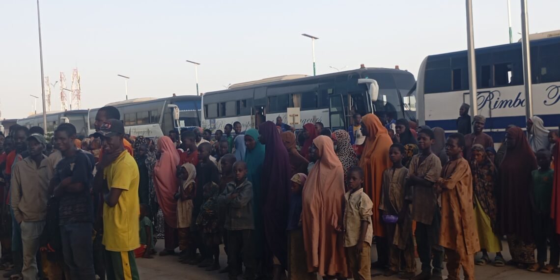 FG repatriates 708 stranded Nigerians from Niger Republic