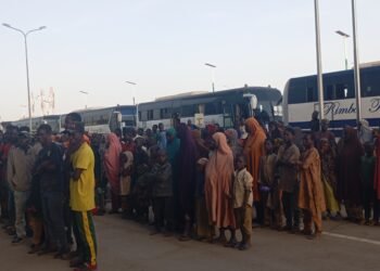 FG repatriates 708 stranded Nigerians from Niger Republic
