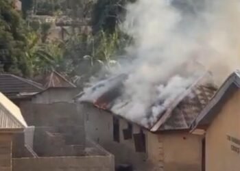 Amnesty blasts Tinubu over failure to protect citizens after latest Benue attack