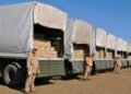 Russia delivers 313 tonnes of medical aid to Iran