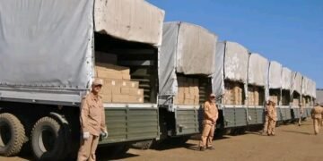 Russia delivers 313 tonnes of medical aid to Iran