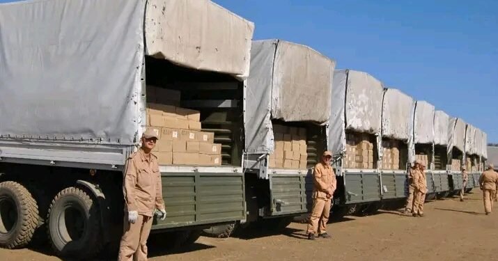 Russia delivers 313 tonnes of medical aid to Iran