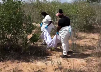 Dozens of bodies found in a mass grave in Kenya