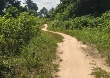 Delta Government approves Oteri-Igbide/Emede Road Project to boost economy, cut travel time in Isoko