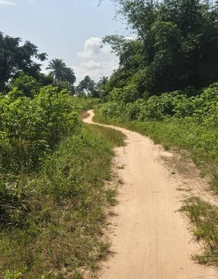 Delta Government approves Oteri-Igbide/Emede Road Project to boost economy, cut travel time in Isoko