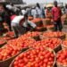 Tomato prices in Nigeria set to rise after Ramadan as harvest glut ends, fuel costs increase
