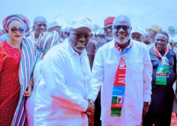 Arenyeka emerges as Delta APC chairman