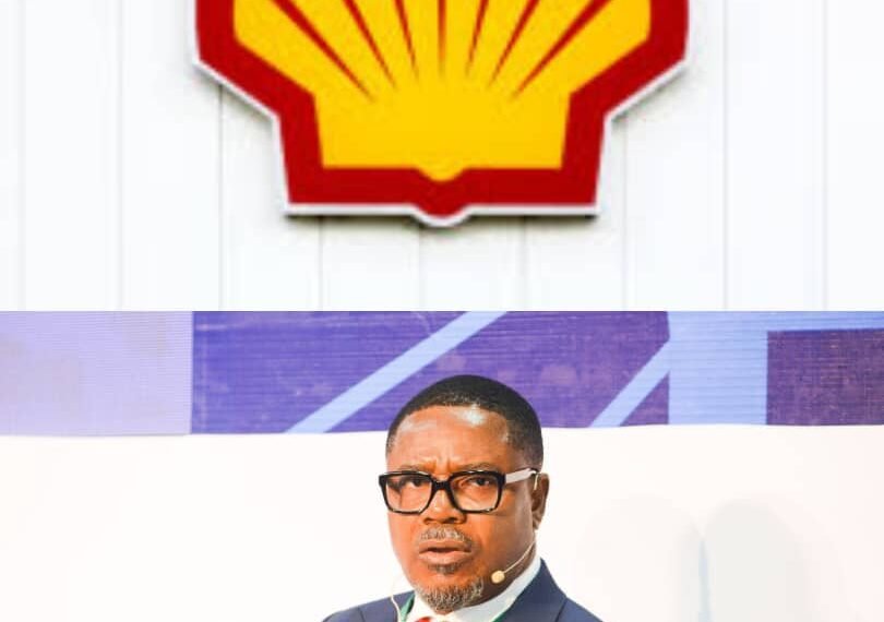 How gas can propel Nigeria towards industrialisation - Shell