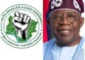 Pipeline Surveillance: Group writes Tinubu, demands inclusion of Isoko Nation in Oil Asset protection jobs