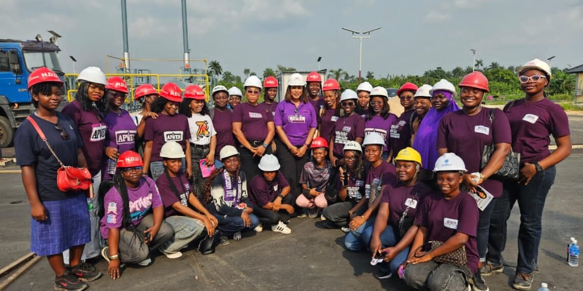 APWEN hails Governor Douye Diri’s 60MW Gas Power Project, says Elebele Plant will end Bayelsa’s chronic power outages