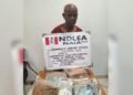 NDLEA arrests 74-year-old with 11kg Cocaine at Abuja Airport