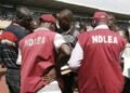 NDLEA raids drug hotspots in Kano, arrests 56 suspects in 3-day crackdown