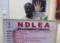 NDLEA arrests notorious drug kingpin Chidiebere in Lagos after 13 years in hiding